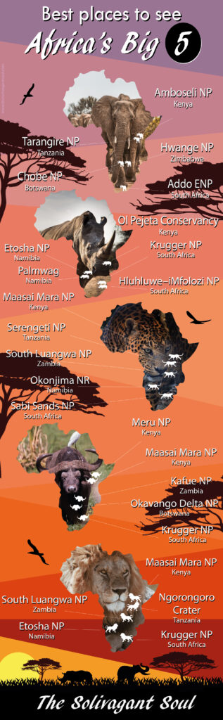 Where to find Africa's Big Five | How to see Africa's Big Five. Africa's big five are a group of animals that make the wish list of all safari enthusiasts. This list includes Elephants, Rhinos, Water Buffaloes, Leopards and Lions. Even though they do not all live together it is possible to see them in some areas of South Africa, Botswana and Kenya. #kenya #botswana #southafrica #safari #wildlife #photography