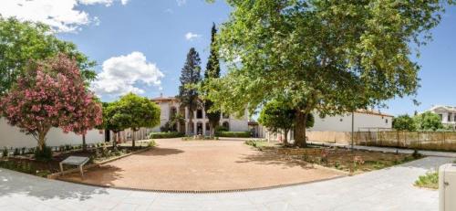 Zeus Temple - The Solivagant Soul