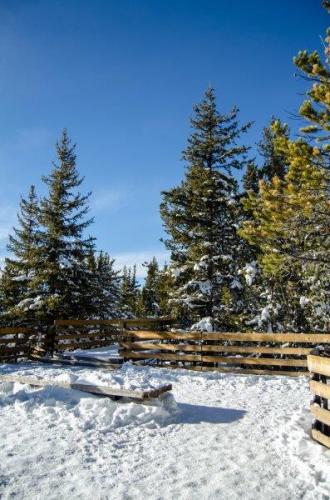 Banff Gondola in Winter - Photo Gallery | The Solivagant Soul