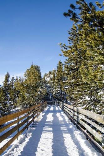 Banff Gondola in Winter - Photo Gallery | The Solivagant Soul
