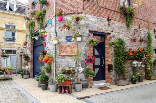 Beautiful street| Dinant, a little town in Belgium | The Solivagant Soul