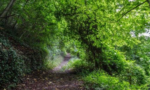 Park | Dinant, a little town in Belgium | The Solivagant Soul