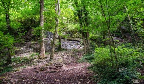 Park | Dinant, a little town in Belgium | The Solivagant Soul