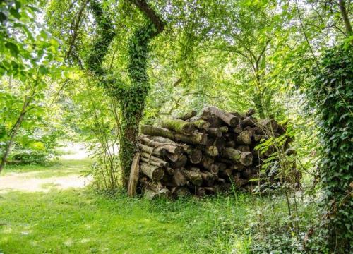 Cementery WWI  | Dinant, a little town in Belgium | The Solivagant Soul
